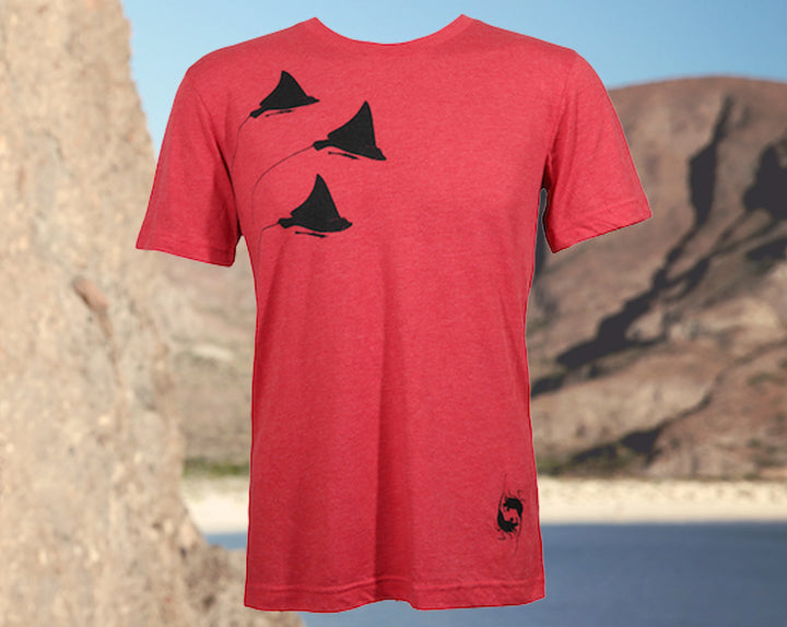 EAGLE RAYS